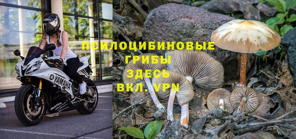 марки nbome Киреевск